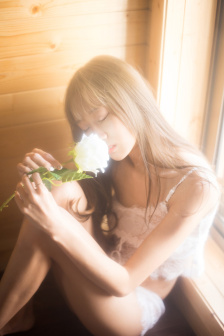 秘密女搜查官系列